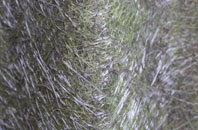 Llay fibreglass roof work